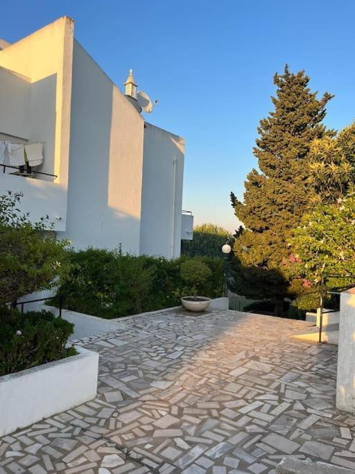Casa Oliveira - Algarve Apartment Поршеш Екстериор снимка
