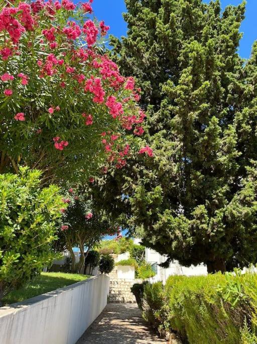 Casa Oliveira - Algarve Apartment Поршеш Екстериор снимка