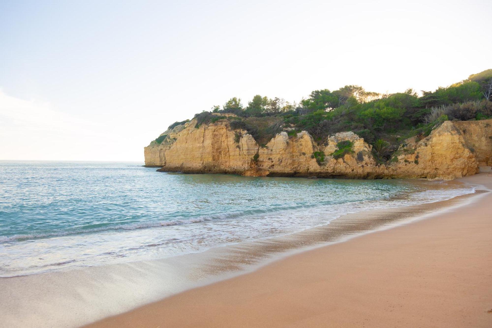 Casa Oliveira - Algarve Apartment Поршеш Екстериор снимка