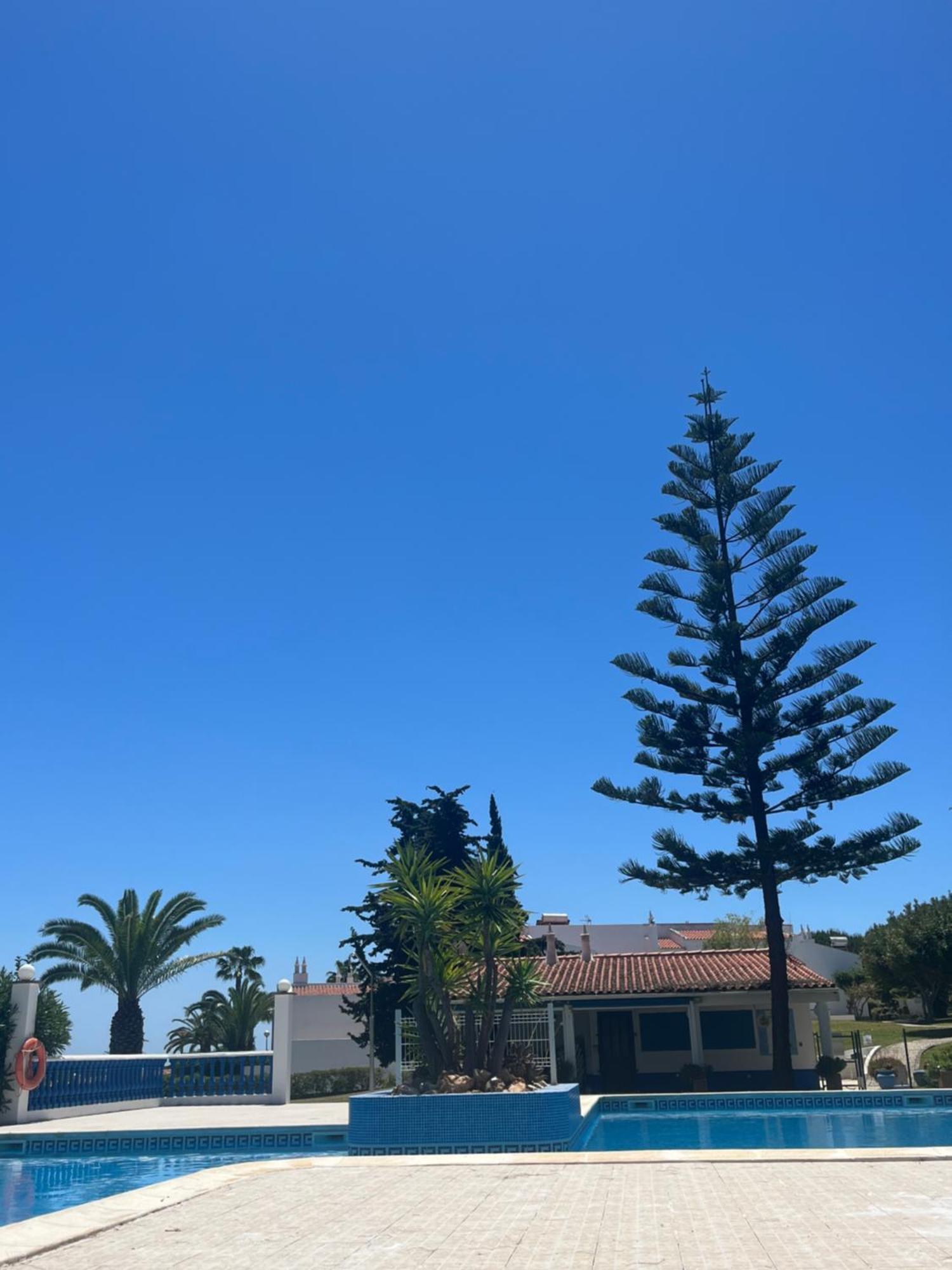 Casa Oliveira - Algarve Apartment Поршеш Екстериор снимка